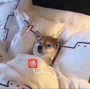 提前續約擱置
？☎️特雷