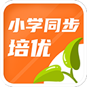 穆斯卡特：梅倫多對球隊戰術的適應令人滿意，我們對他充滿信心