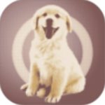 福克斯：我真的信任馬刺這個團隊 相信我們能掛上更多冠軍旗幟